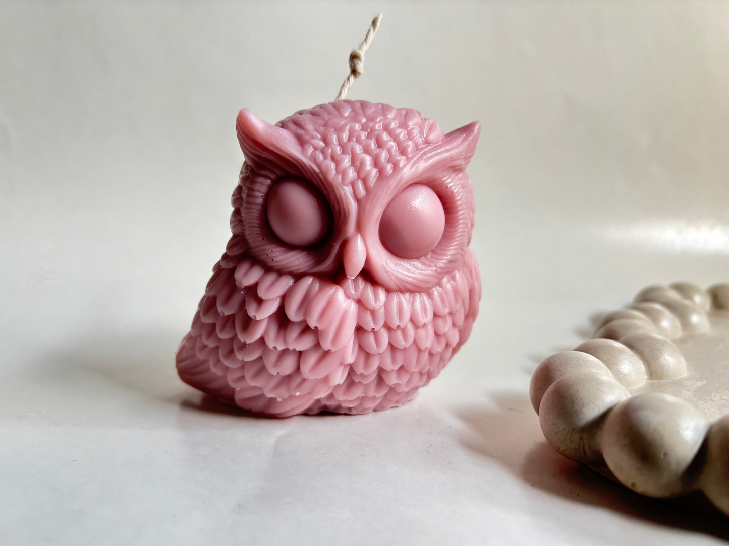 Cute Owl