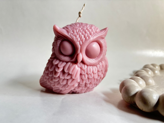 Cute Owl